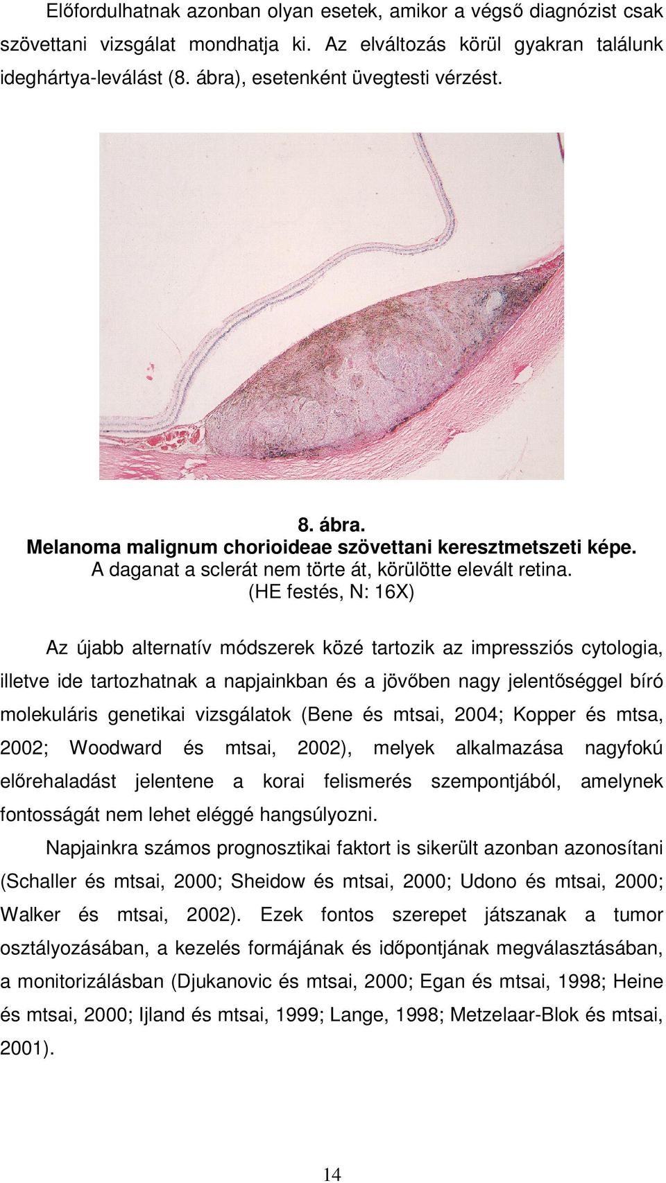 (HE festés, N: 16X) Az újabb alternatív módszerek közé tartozik az impressziós cytologia, illetve ide tartozhatnak a napjainkban és a jövıben nagy jelentıséggel bíró molekuláris genetikai vizsgálatok