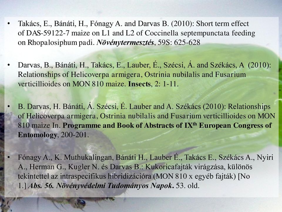 and Székács, A (2010): Relationships of Helicoverpa armigera, Ostrinia nubilalis and Fusarium verticillioides on MON 810 maize. Insects, 2: 1-11. B. Darvas, H. Bánáti, Á. Szécsi, É. Lauber and A.