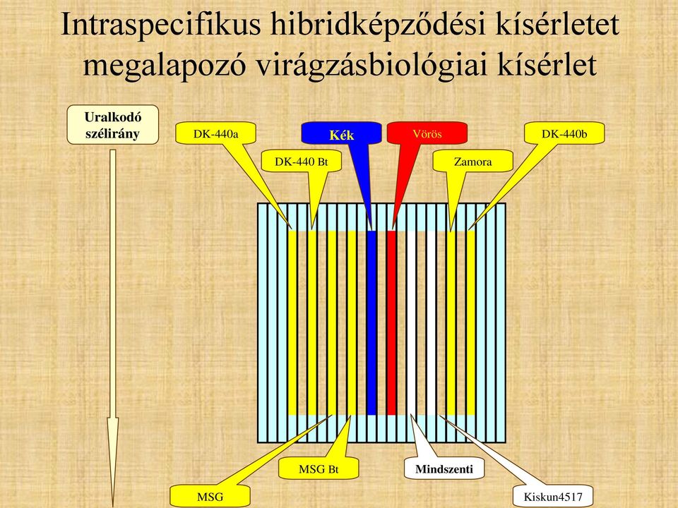 Uralkodó szélirány DK-440a Kék Vörös