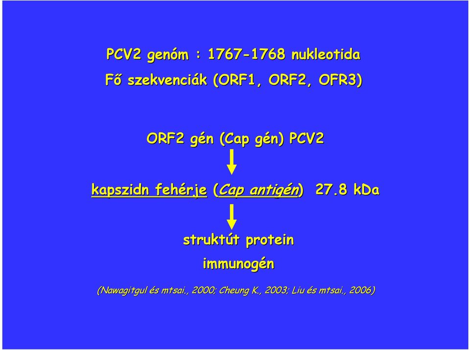 (Cap antigén) 27.