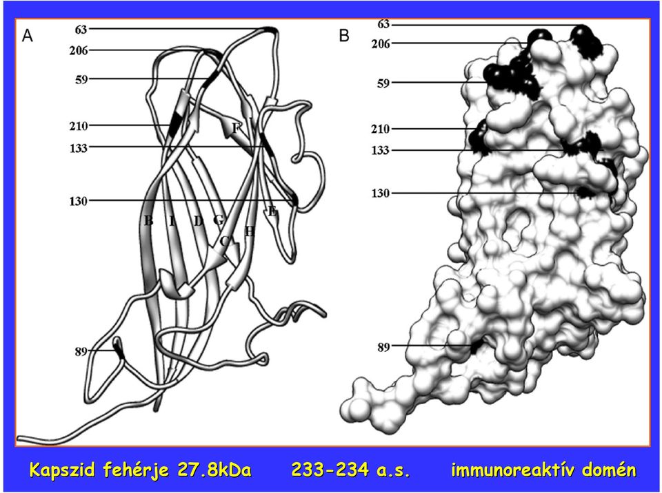 233-234 234 a.s.