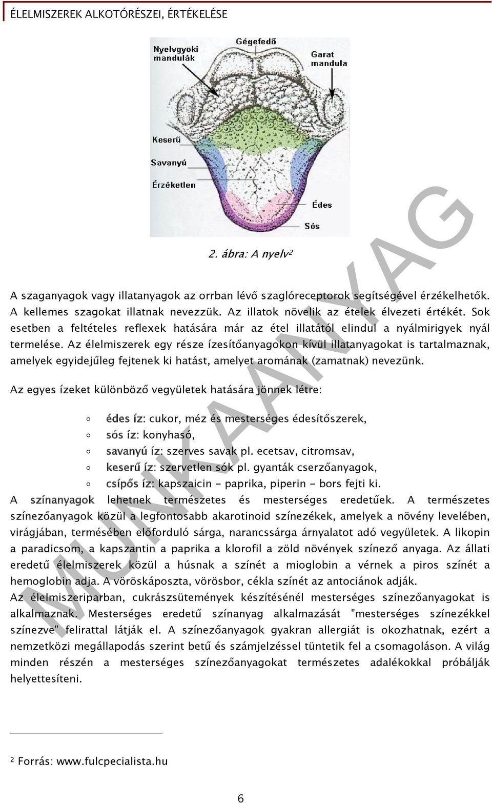 Az élelmiszerek egy része ízesítőanyagokon kívül illatanyagokat is tartalmaznak, amelyek egyidejűleg fejtenek ki hatást, amelyet aromának (zamatnak) nevezünk.