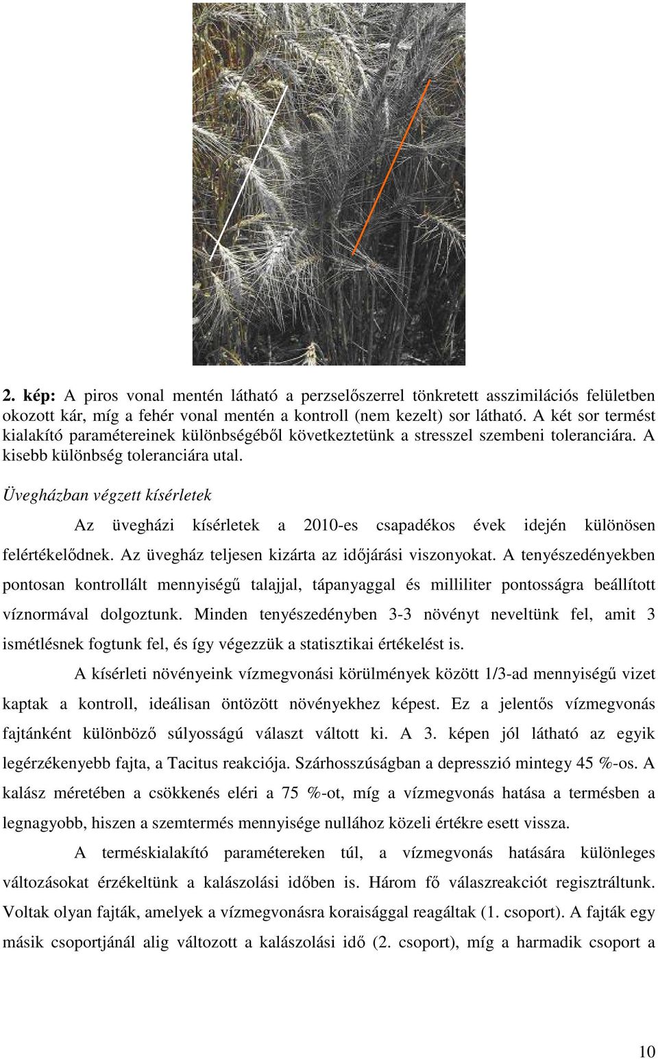 Üvegházban végzett kísérletek Az üvegházi kísérletek a 2010-es csapadékos évek idején különösen felértékelődnek. Az üvegház teljesen kizárta az időjárási viszonyokat.