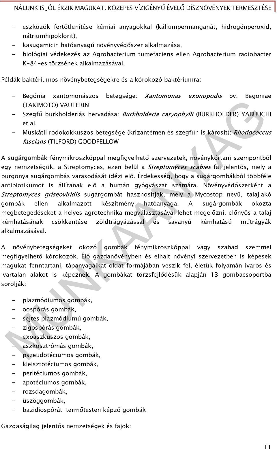 Példák baktériumos növénybetegségekre és a kórokozó baktériumra: - Begónia xantomonászos betegsége: Xantomonas exonopodis pv.