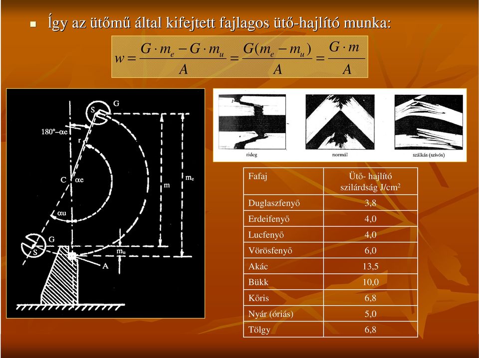 Erdeifenyı Lucfenyı Vörösfenyı Akác Bükk Kıris Nyár (óriás)