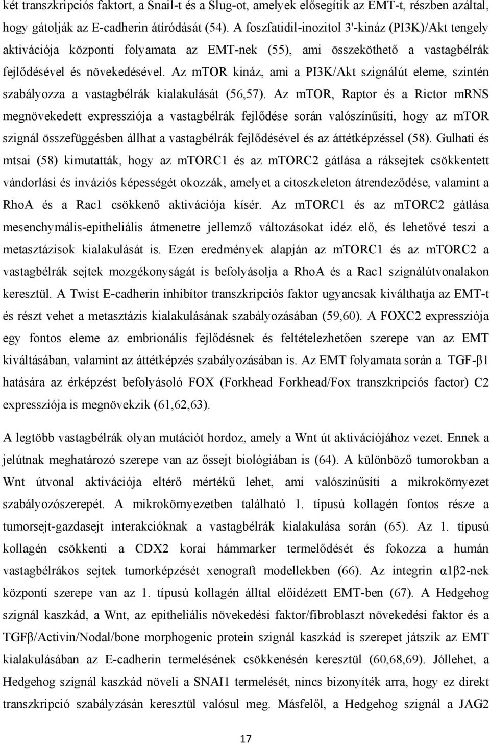 Az mtor kináz, ami a PI3K/Akt szignálút eleme, szintén szabályozza a vastagbélrák kialakulását (56,57).