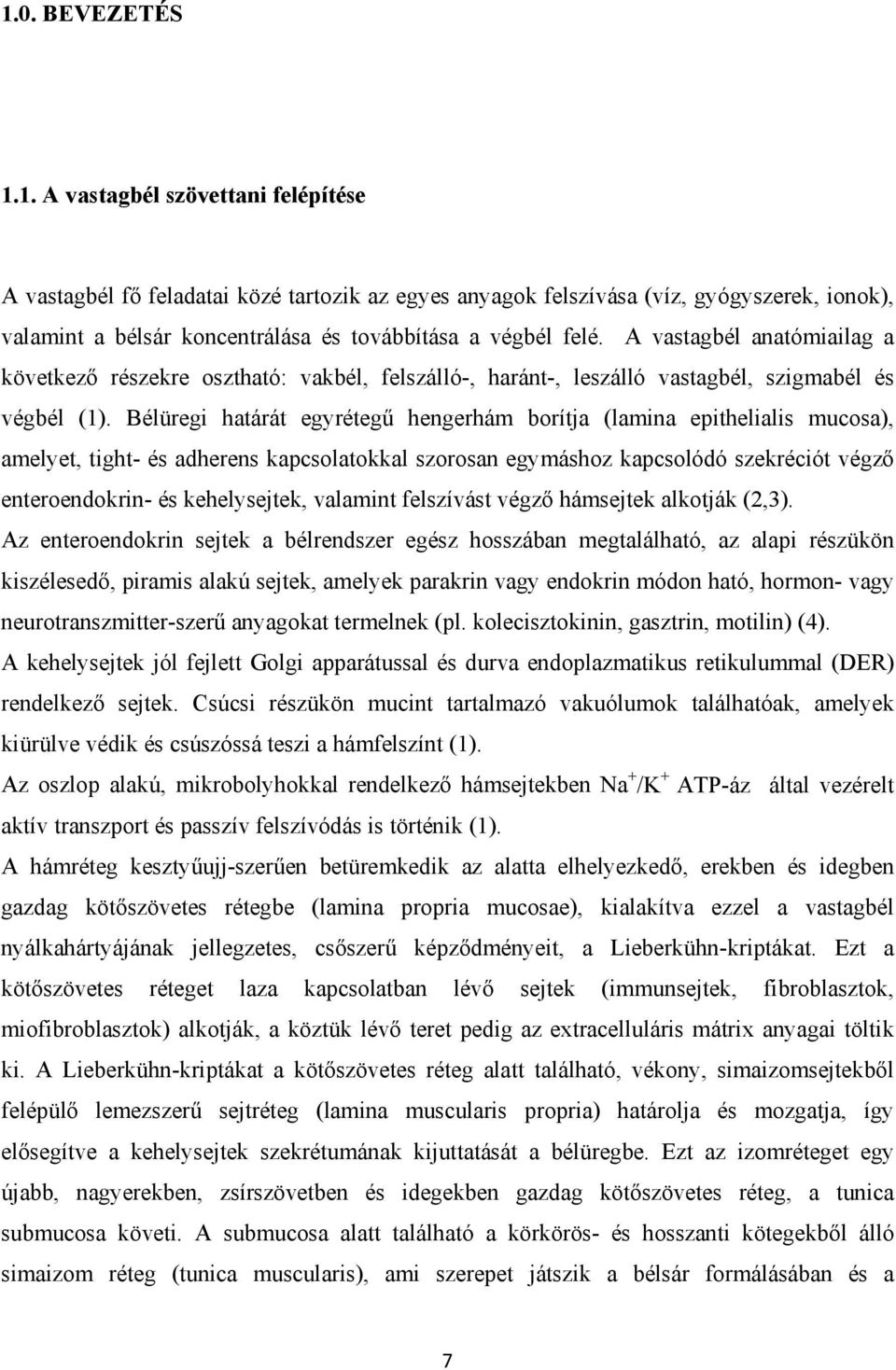 Bélüregi határát egyrétegű hengerhám borítja (lamina epithelialis mucosa), amelyet, tight- és adherens kapcsolatokkal szorosan egymáshoz kapcsolódó szekréciót végző enteroendokrin- és kehelysejtek,