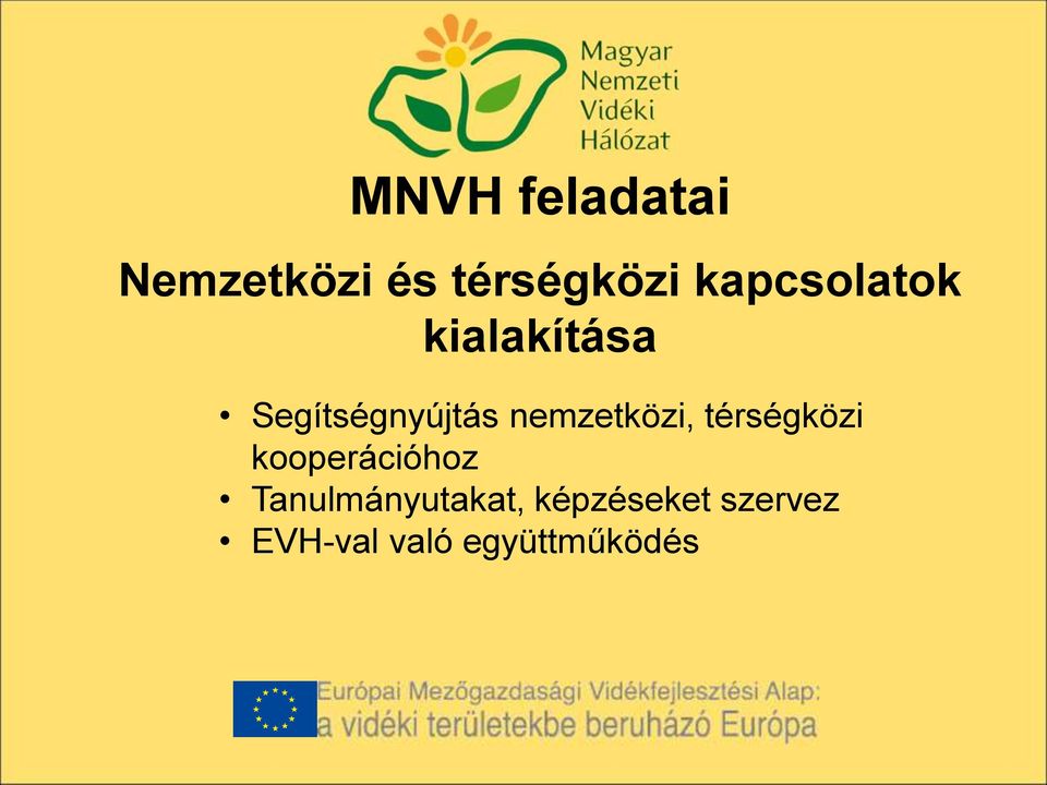 nemzetközi, térségközi kooperációhoz