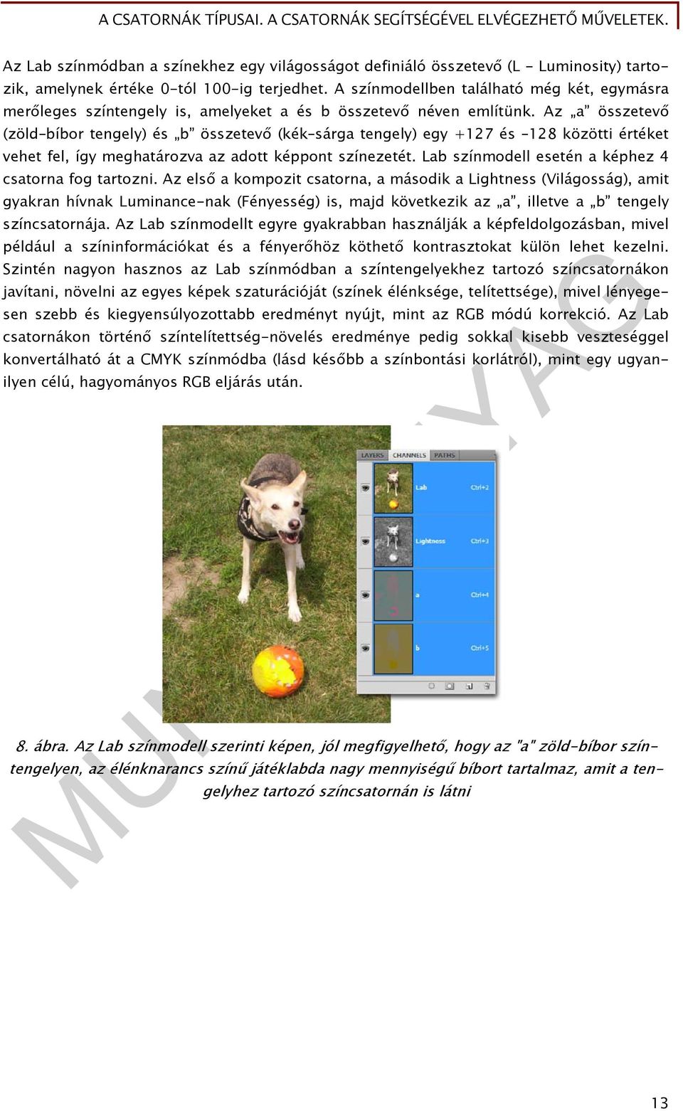 Az a összetevő (zöld bíbor tengely) és b összetevő (kék sárga tengely) egy +127 és 128 közötti értéket vehet fel, így meghatározva az adott képpont színezetét.