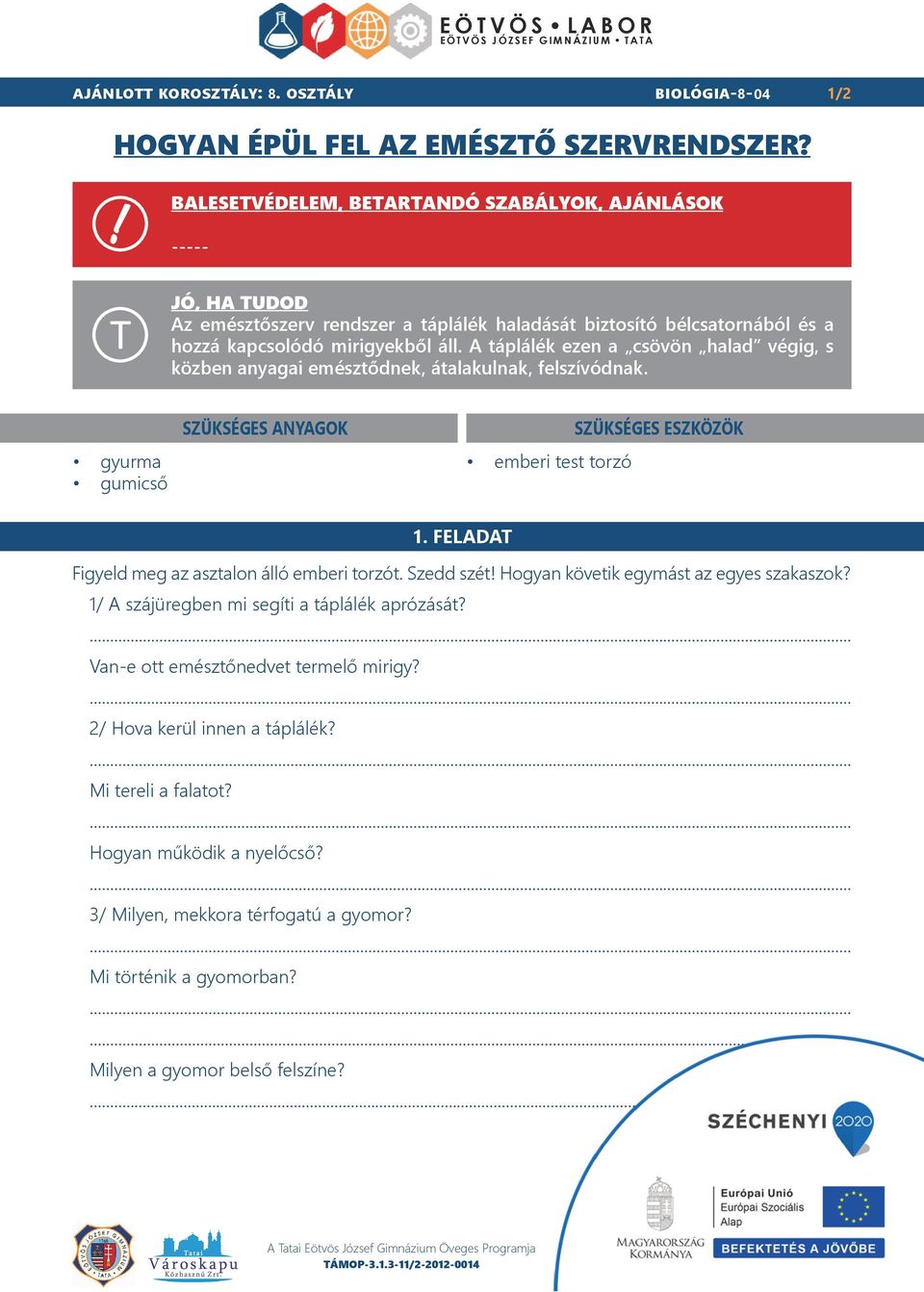 A táplálék ezen a csövön halad végig, s közben anyagai emésztődnek, átalakulnak, felszívódnak. gyurma gumicső SZÜKSÉGES ANYAGOK emberi test torzó SZÜKSÉGES ESZKÖZÖK 1.