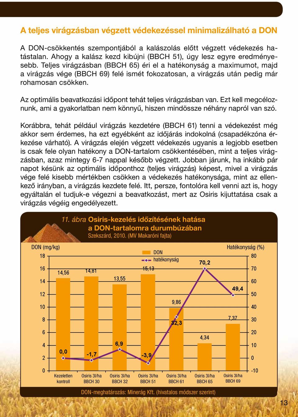 Teljes virágzásban (BBCH 65) éri el a hatékonyság a maximumot, majd a virágzás vége (BBCH 69) felé ismét fokozatosan, a virágzás után pedig már rohamosan csökken.