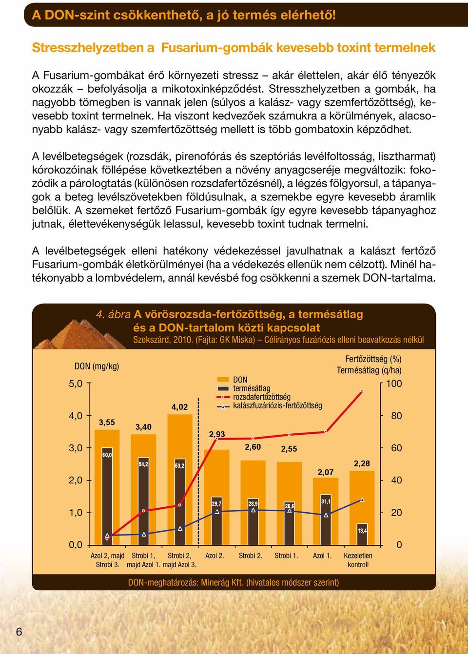 Stresszhelyzetben a gombák, ha nagyobb tömegben is vannak jelen (súlyos a kalász- vagy szemfertőzöttség), kevesebb toxint termelnek.