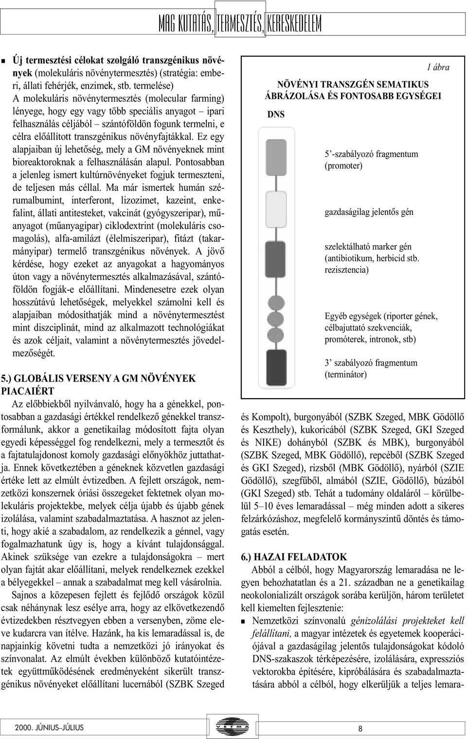 növényfajtákkal. Ez egy alapjaiban új lehetõség, mely a GM növényeknek mint bioreaktoroknak a felhasználásán alapul.