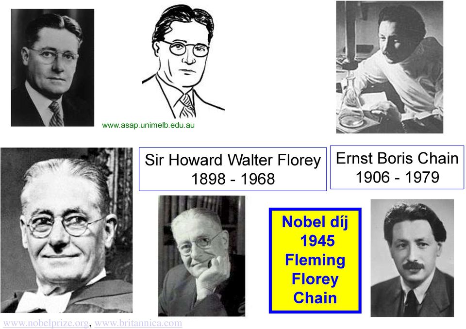 Ernst Boris Chain 1906-1979 Nobel díj