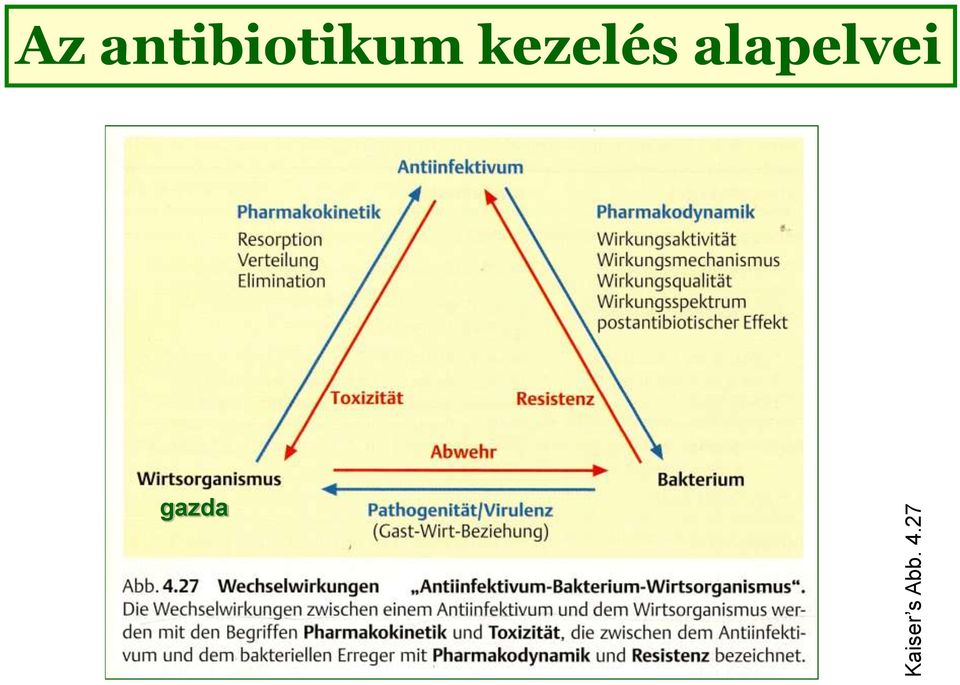 antibiotikum