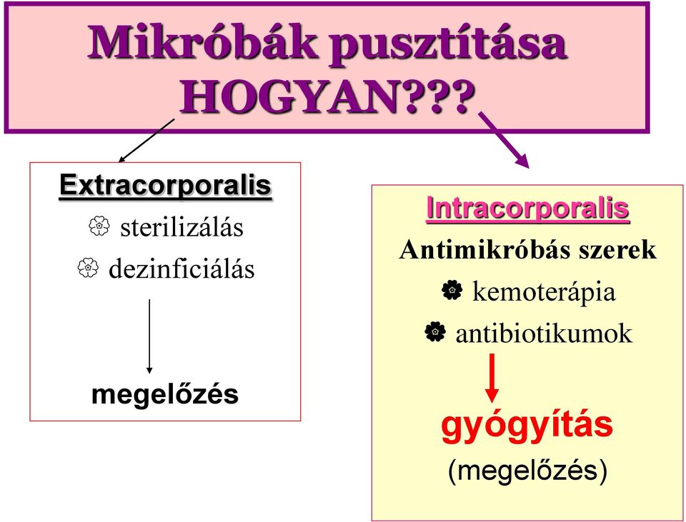 dezinficiálás megelőzés Intracorporalis