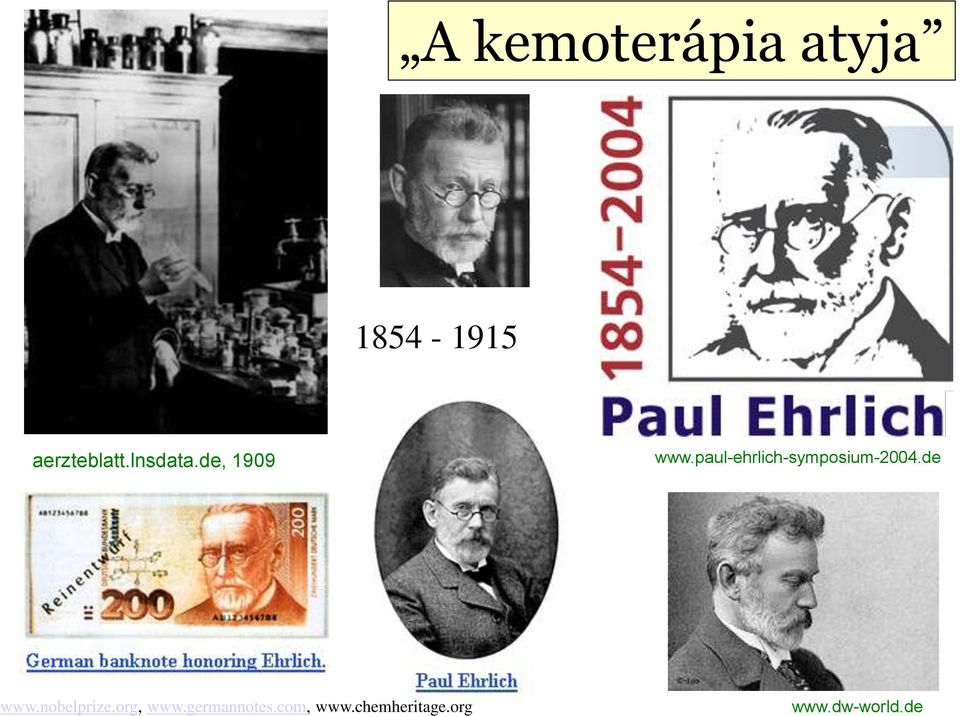 paul-ehrlich-symposium-2004.de www.