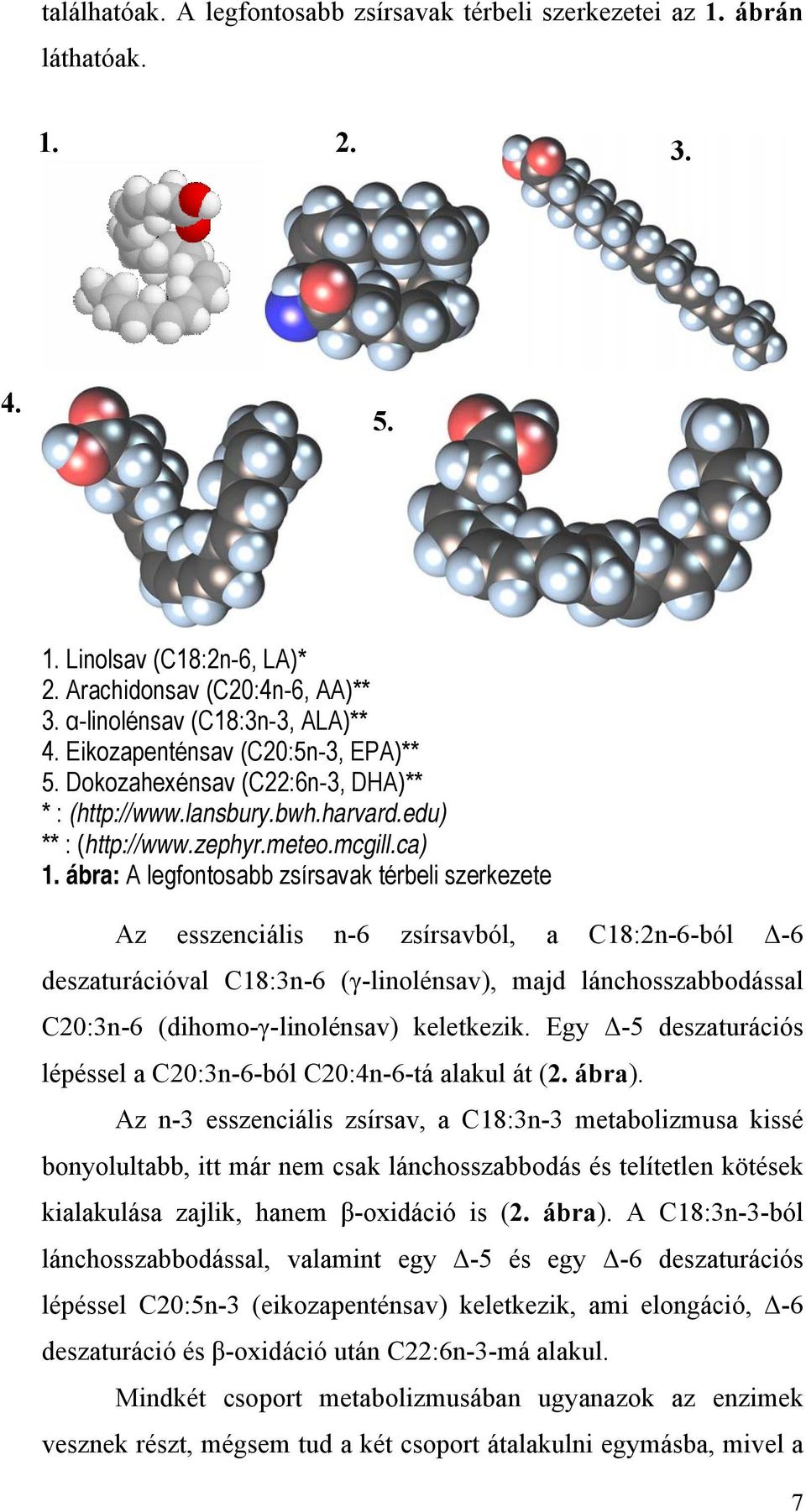 ábra: A legfontosabb zsírsavak térbeli szerkezete Az esszenciális n-6 zsírsavból, a C18:2n-6-ból Δ-6 deszaturációval C18:3n-6 (γ-linolénsav), majd lánchosszabbodással C20:3n-6 (dihomo-γ-linolénsav)