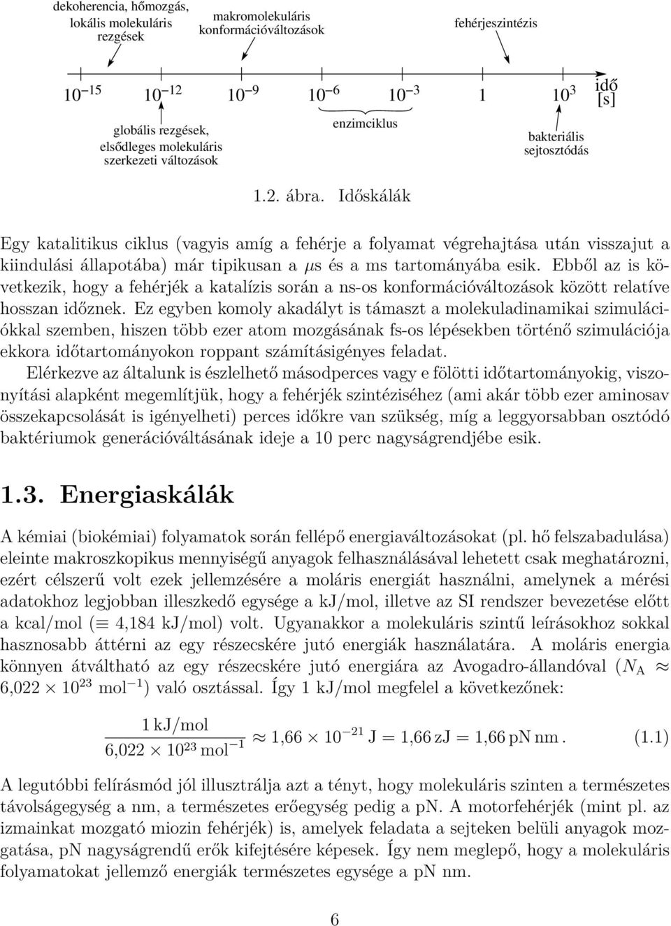 Időskálák bakteriális sejtosztódás Egy katalitikus ciklus (vagyis amíg a fehérje a folyamat végrehajtása után visszajut a kiindulási állapotába) már tipikusan a µs és a ms tartományába esik.