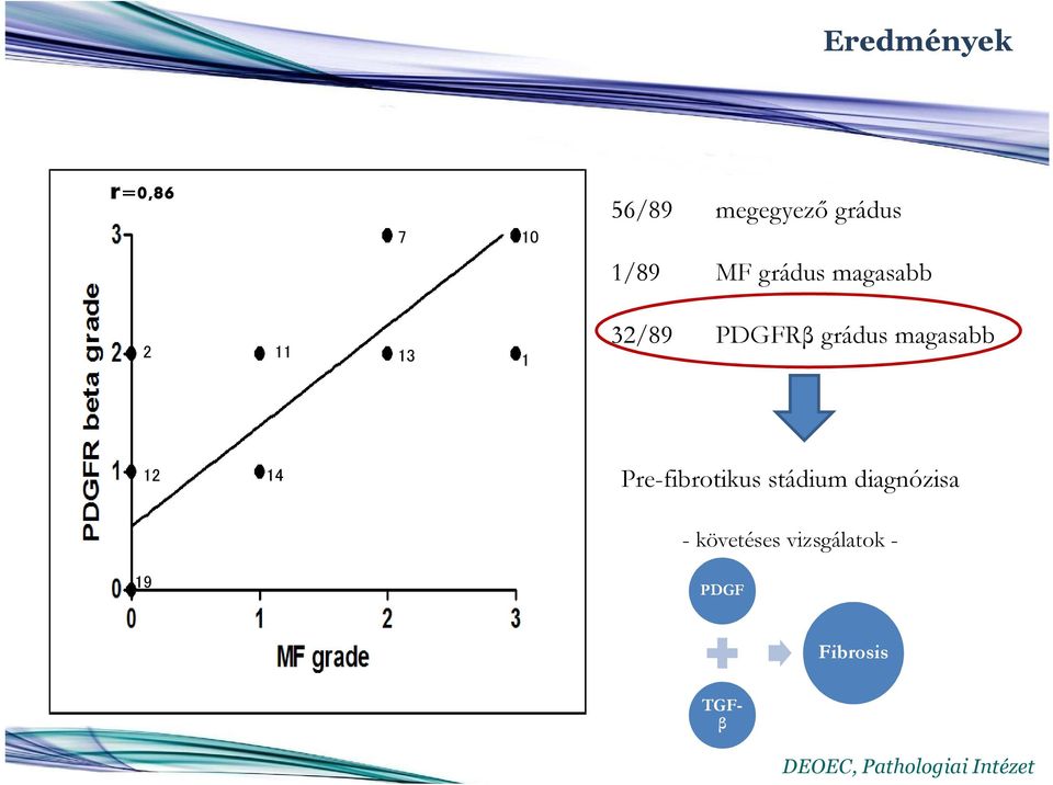grádus magasabb 12 14 Pre-fibrotikus stádium