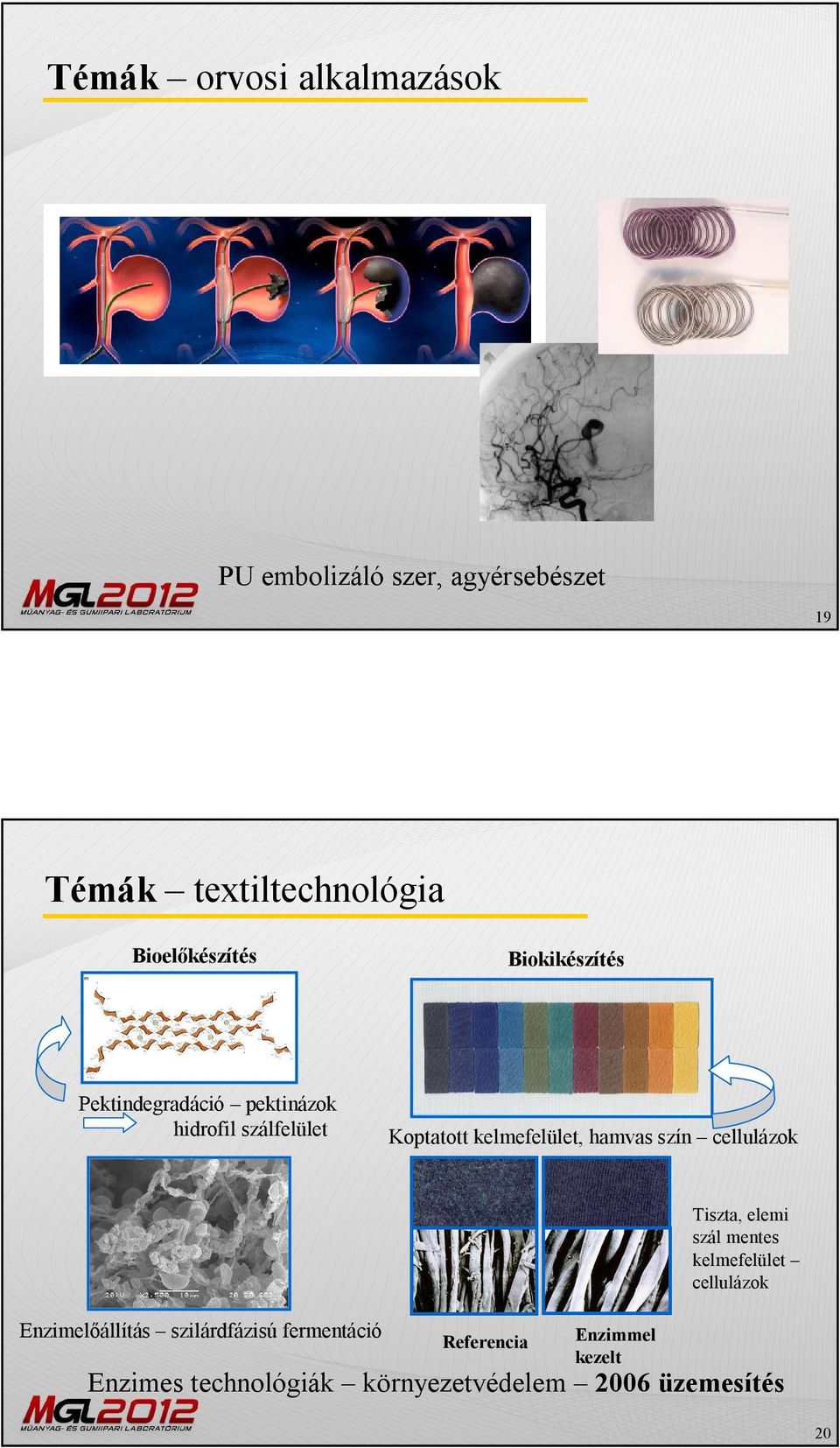 kelmefelület, hamvas szín cellulázok Enzimelőállítás szilárdfázisú fermentáció Referencia