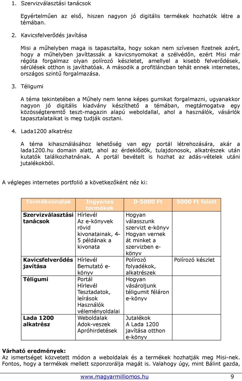 olyan polírozó készletet, amellyel a kisebb felverődések, sérülések otthon is javíthatóak. A második a profitláncban tehát ennek internetes, országos szintű forgalmazása. 3.