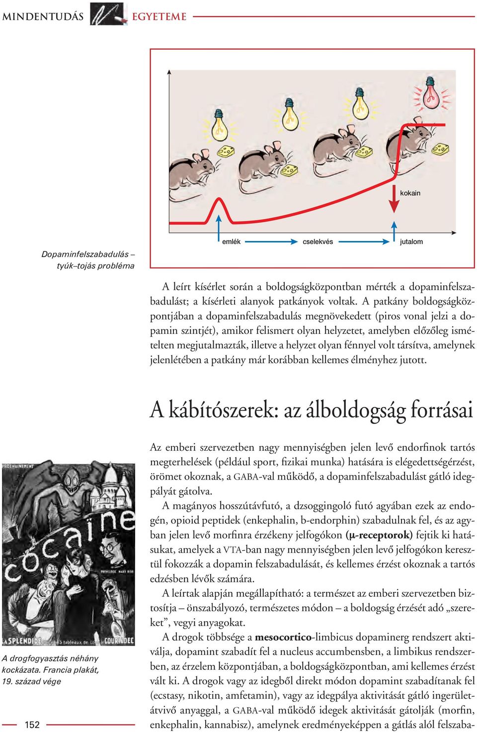 A patkány boldogságközpontjában a dopaminfelszabadulás megnövekedett (piros vonal jelzi a dopamin szintjét), amikor felismert olyan helyzetet, amelyben elôzôleg ismételten megjutalmazták, illetve a