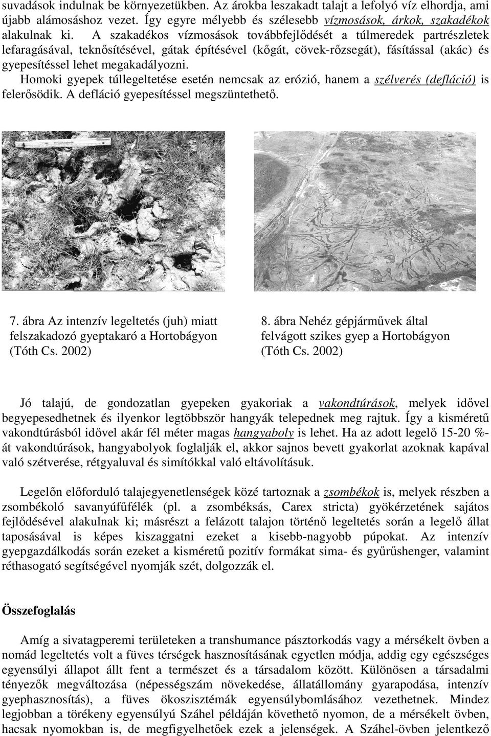 Homoki gyepek túllegeltetése esetén nemcsak az erózió, hanem a szélverés (defláció) is felerısödik. A defláció gyepesítéssel megszüntethetı. 7.