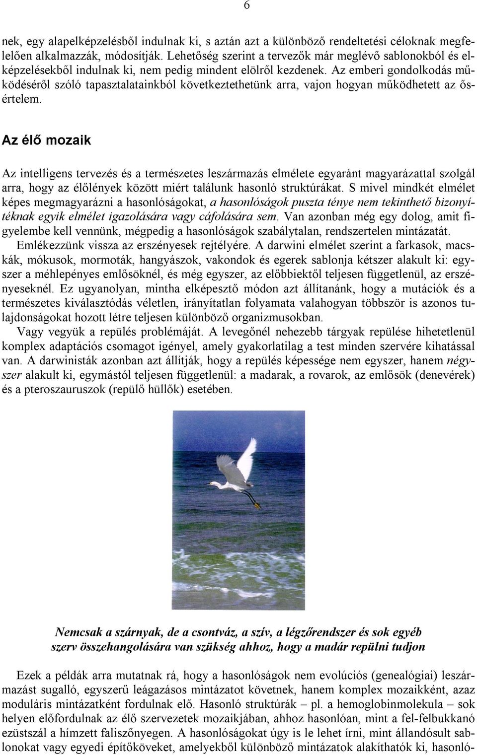 Az emberi gondolkodás működéséről szóló tapasztalatainkból következtethetünk arra, vajon hogyan működhetett az ősértelem.