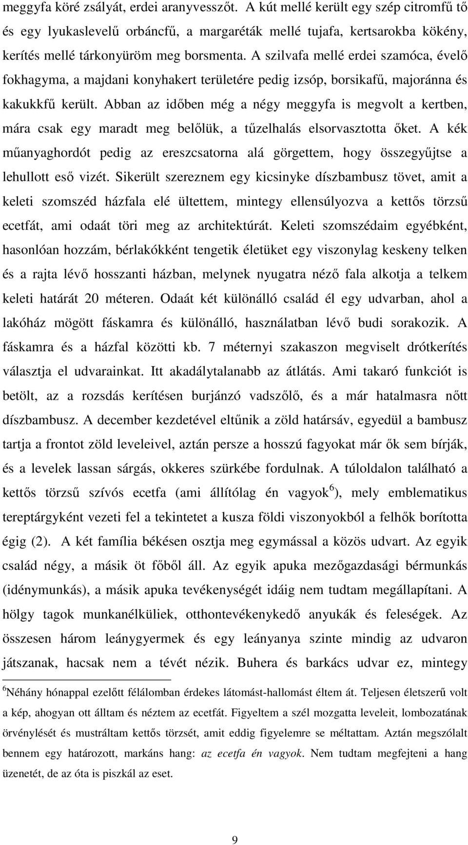 Abban az időben még a négy meggyfa is megvolt a kertben, mára csak egy maradt meg belőlük, a tűzelhalás elsorvasztotta őket.