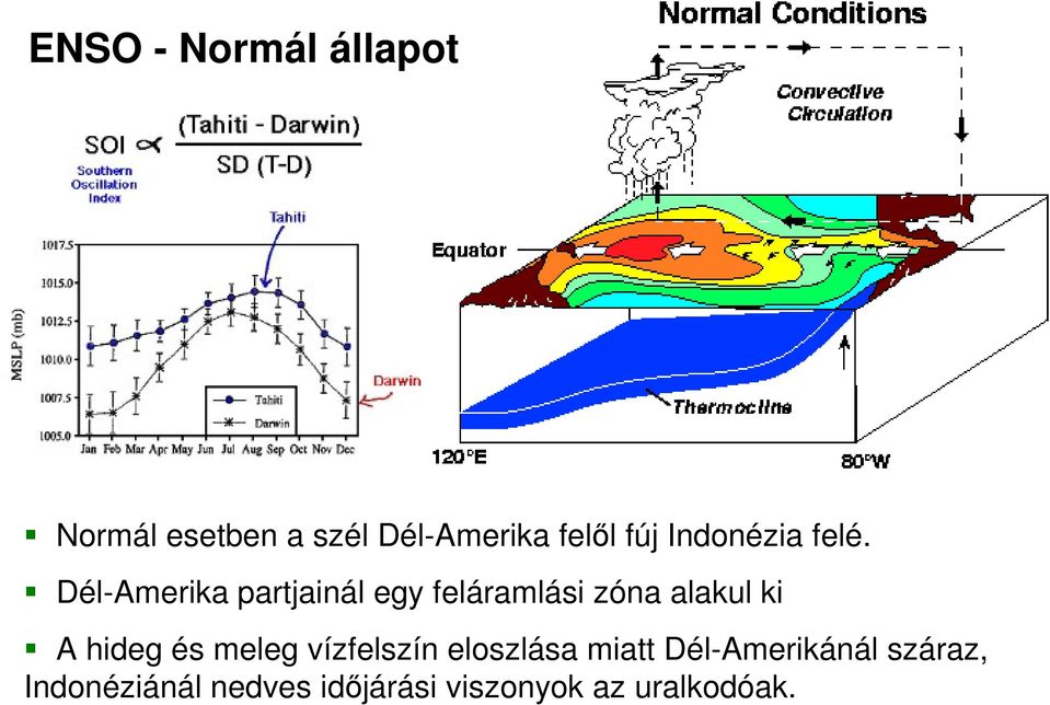 Dél-Amerika partjainál egy feláramlási zóna alakul ki A hideg és