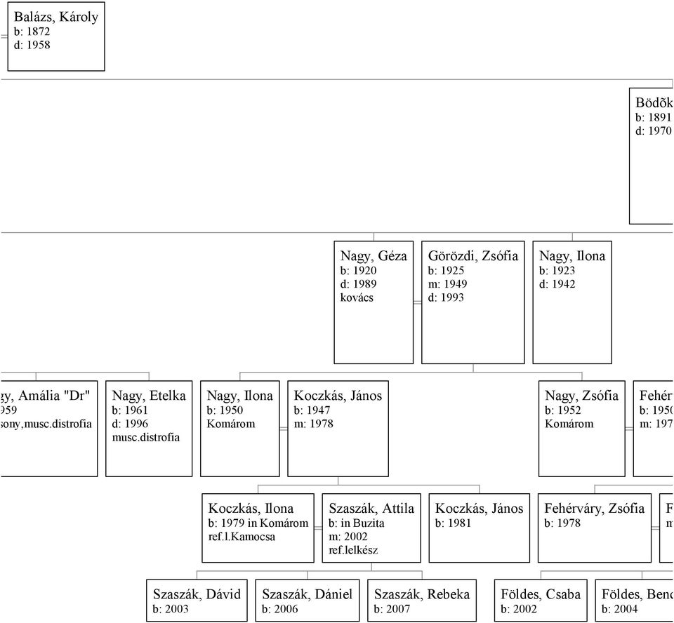 distrofia Nagy, Ilona b: 1950 Komárom Koczkás, János b: 1947 m: 1978 Nagy, Zsófia b: 1952 Komárom Fehérváry b: 1950 m: 1973 Koczkás, Ilona b: 1979 in Komárom