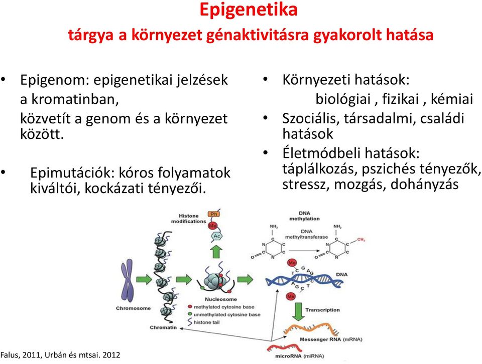 Epimutációk: kóros folyamatok kiváltói, kockázati tényezői.