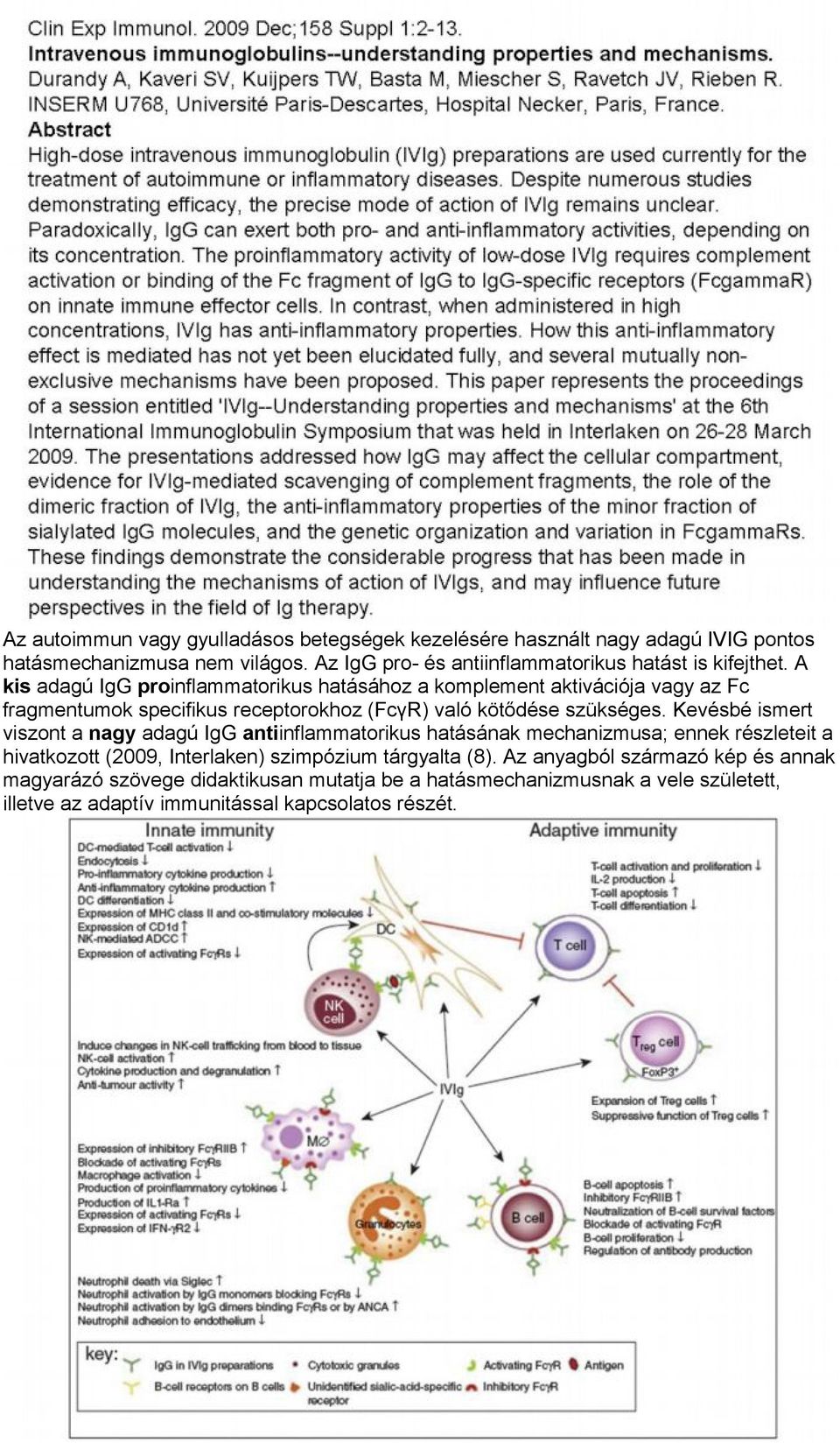 A kis adagú IgG proinflammatorikus hatásához a komplement aktivációja vagy az Fc fragmentumok specifikus receptorokhoz (FcγR) való kötődése szükséges.