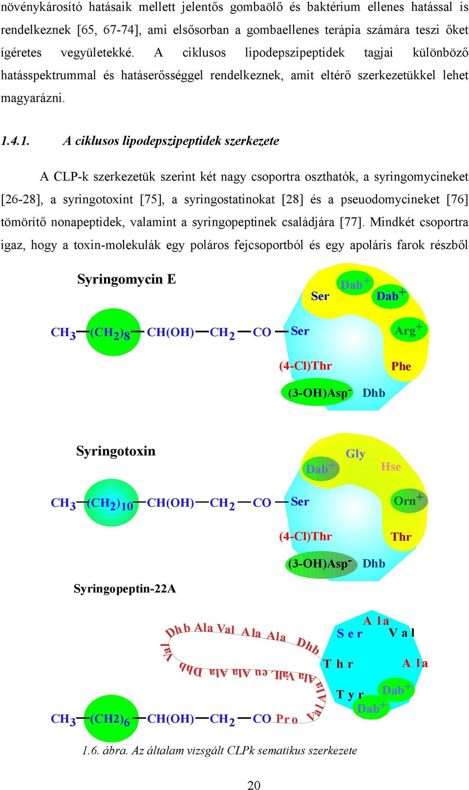 4.1. A ciklusos lipodepszipeptidek szerkezete A CLP-k szerkezetük szerint két nagy csoportra oszthatók, a syringomycineket [26-28], a syringotoxint [75], a syringostatinokat [28] és a