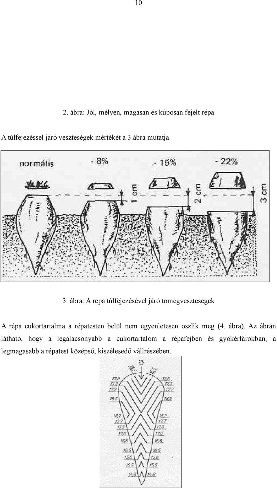 répatesten belül nem egyenletesen oszlik meg (4. ábra).