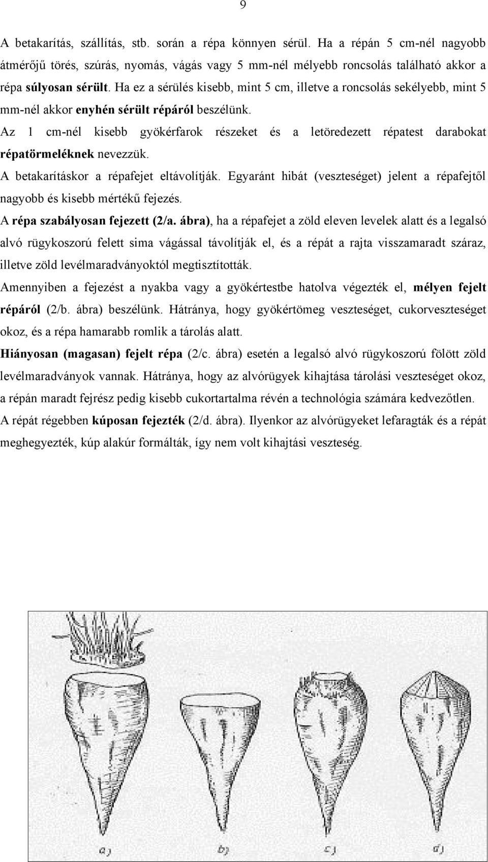 Az 1 cm-nél kisebb gyökérfarok részeket és a letöredezett répatest darabokat répatörmeléknek nevezzük. A betakarításkor a répafejet eltávolítják.