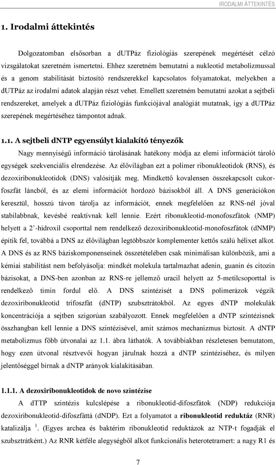 Emellett szeretném bemutatni azokat a sejtbeli rendszereket, amelyek a dutpáz fiziológiás funkciójával analógiát mutatnak, így a dutpáz szerepének megértéséhez támpontot adnak. 1.