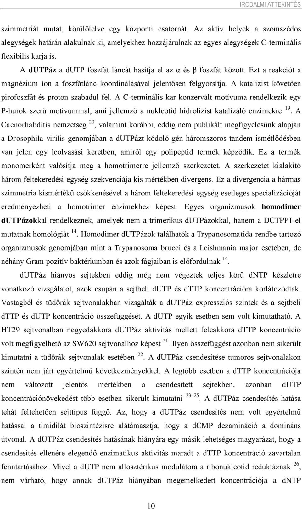 A dutpáz a dutp foszfát láncát hasítja el az α és β foszfát között. Ezt a reakciót a magnézium ion a foszfátlánc koordinálásával jelentősen felgyorsítja.