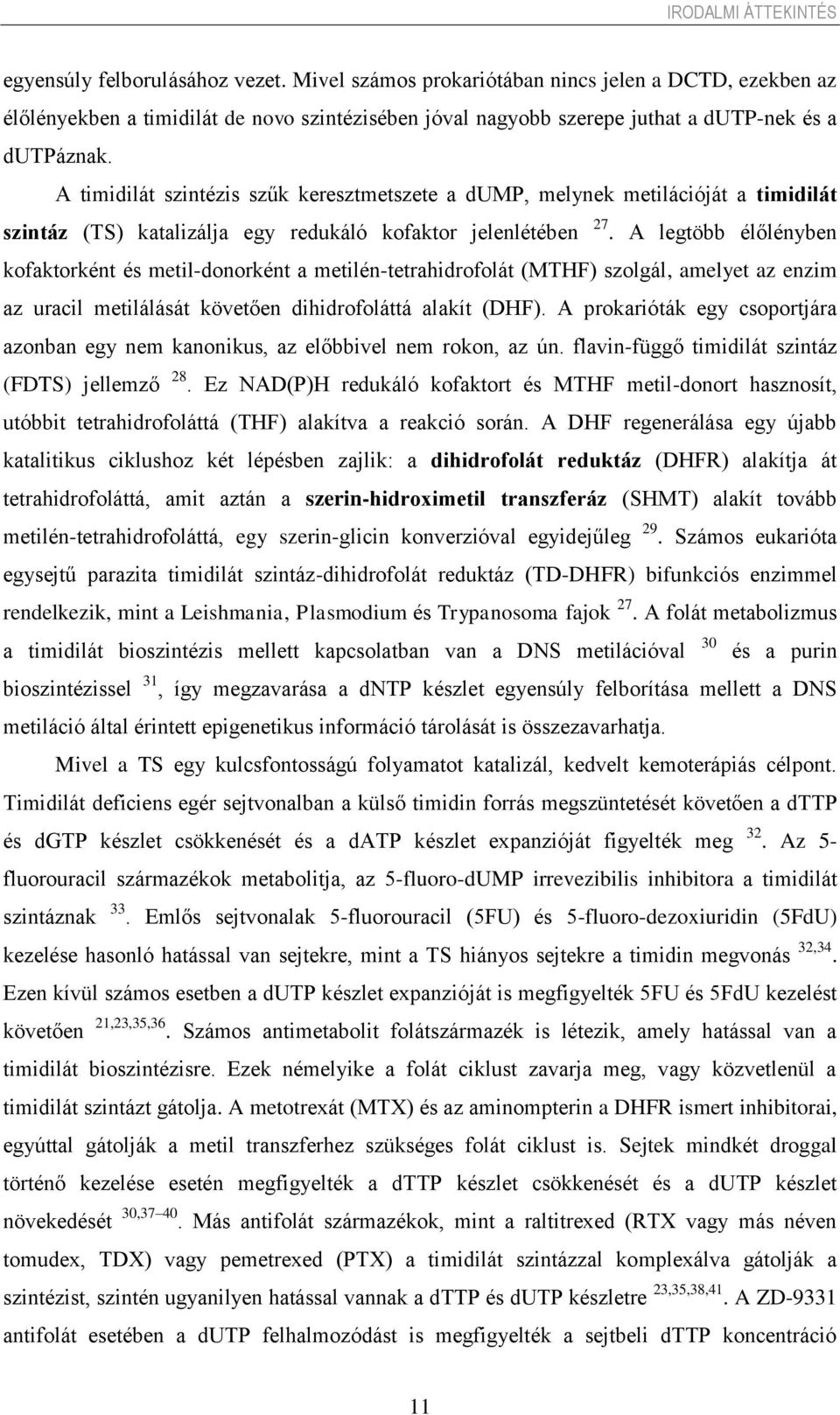 A timidilát szintézis szűk keresztmetszete a dump, melynek metilációját a timidilát szintáz (TS) katalizálja egy redukáló kofaktor jelenlétében 27.