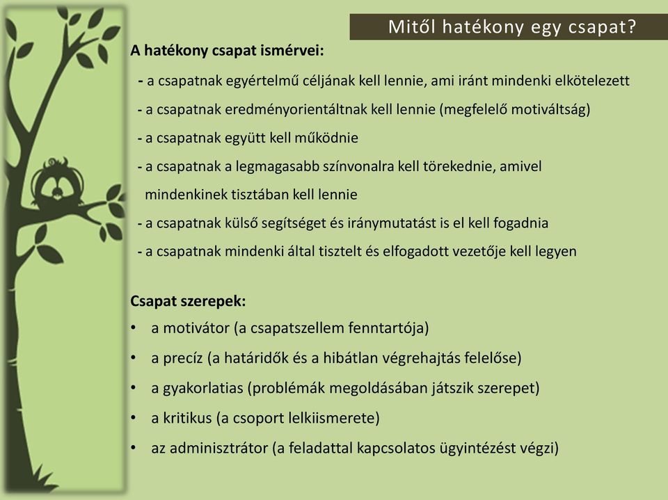 a csapatnak a legmagasabb színvonalra kell törekednie, amivel mindenkinek tisztában kell lennie - a csapatnak külső segítséget és iránymutatást is el kell fogadnia - a csapatnak mindenki