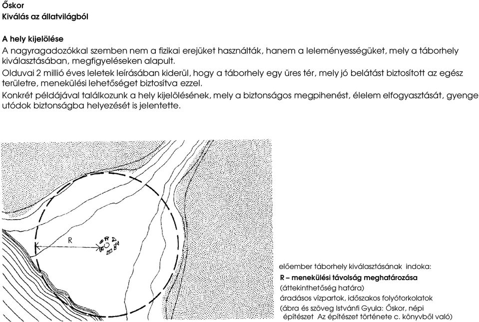 Konkrét példájával találkozunk a hely kijelölésének, mely a biztonságos megpihenést, élelem elfogyasztását, gyenge utódok biztonságba helyezését is jelentette.