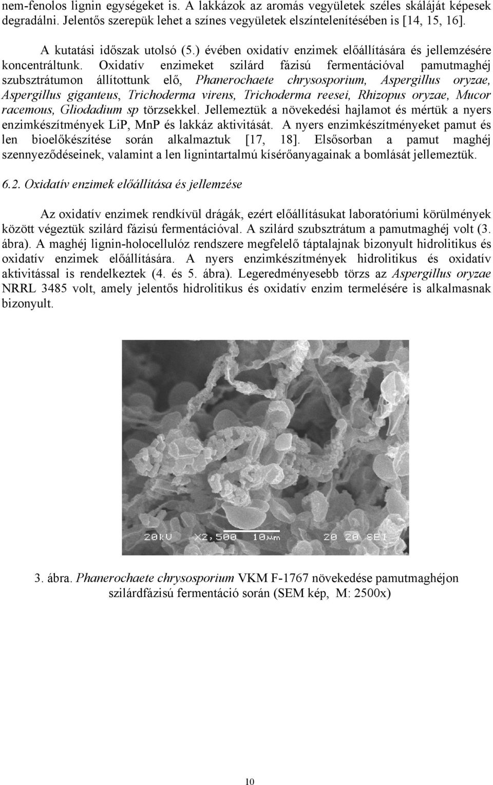 Oxidatív enzimeket szilárd fázisú fermentációval pamutmaghéj szubsztrátumon állítottunk elő, Phanerochaete chrysosporium, Aspergillus oryzae, Aspergillus giganteus, Trichoderma virens, Trichoderma