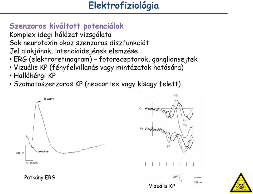 (elektroretinogram) fotoreceptorok, ganglionsejtek Vizuális KP (fényfelvillanás vagy