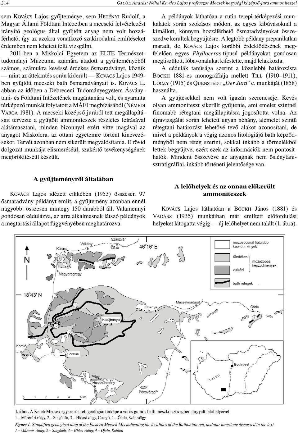 2011-ben a Miskolci Egyetem az ELTE Természettudományi Múzeuma számára átadott a gyűjteményéből számos, számukra kevéssé érdekes ősmaradványt, köztük mint az áttekintés során kiderült KOVÁCS Lajos