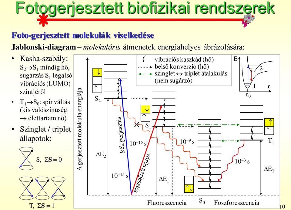 0 : spinváltás (kis valószínűség élettartam nő) Szinglet / triplet állapotok: S 2 S 1 vibrációs kaszkád (hő) belső konverzió (hő) szinglet