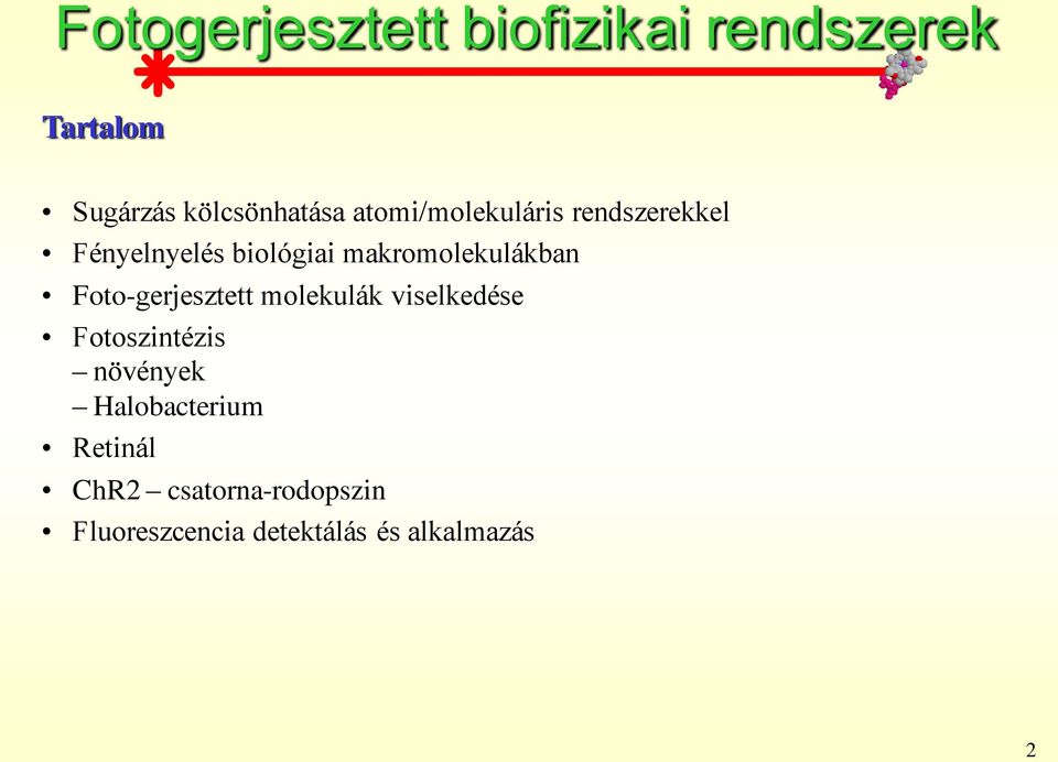 molekulák viselkedése Fotoszintézis növények Halobacterium