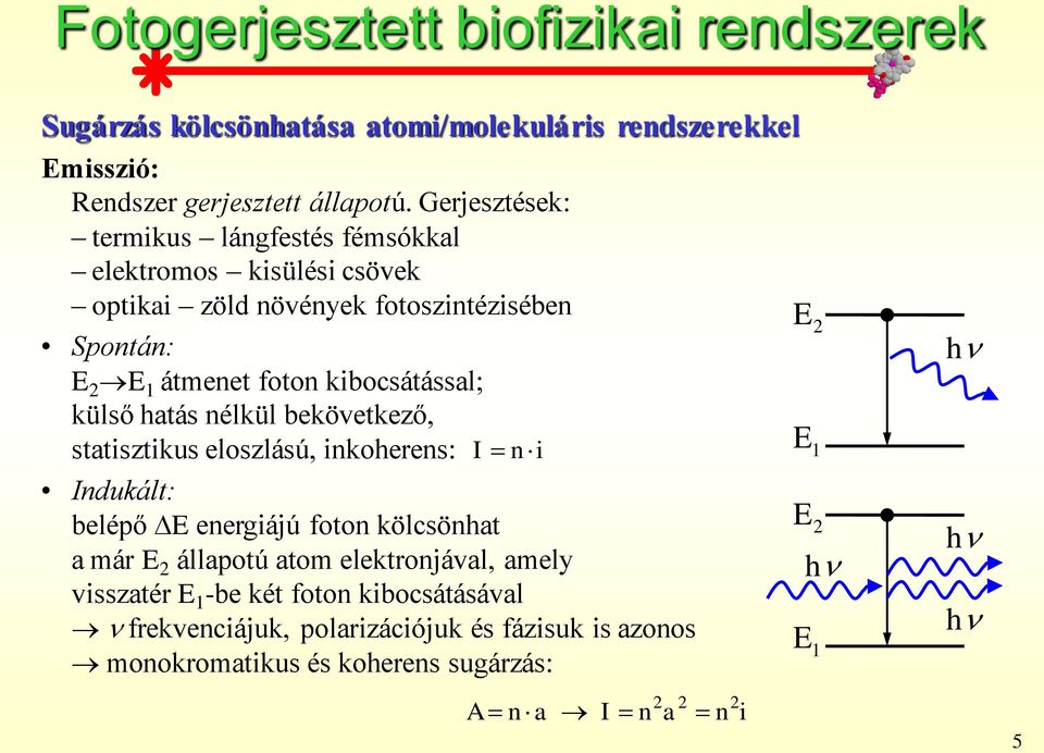 kibocsátással; külső hatás nélkül bekövetkező, statisztikus eloszlású, inkoherens: I ni Indukált: belépő E energiájú foton kölcsönhat a már E 2