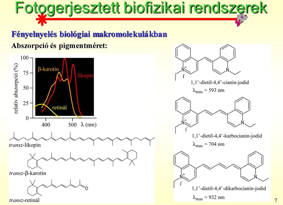 makromolekulákban