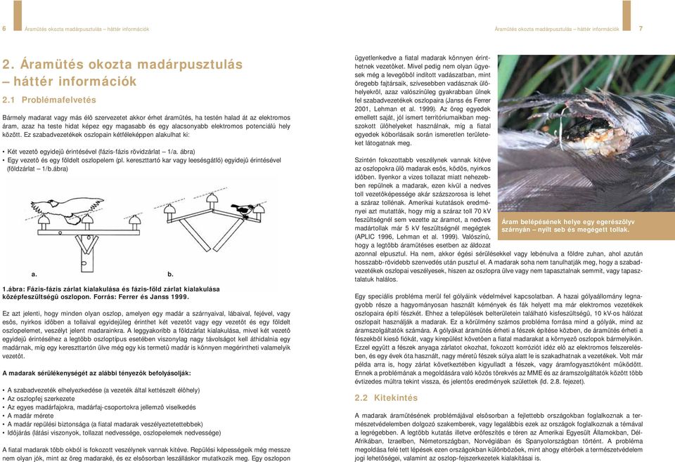 Problémafelvetés Bármely madarat vagy más élô szervezetet akkor érhet áramütés, ha testén halad át az elektromos áram, azaz ha teste hidat képez egy magasabb és egy alacsonyabb elektromos potenciálú